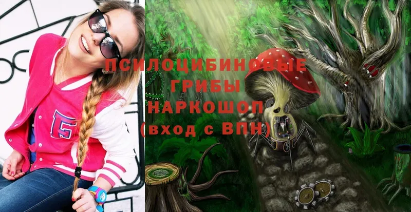 купить  цена  Верхотурье  Псилоцибиновые грибы Magic Shrooms 